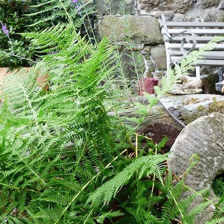 Dolifor Llanwrthwl Exterior foto