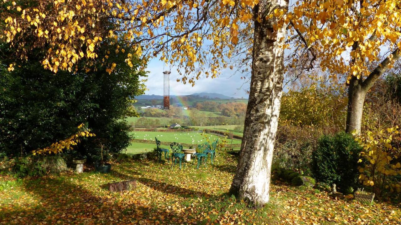 Dolifor Llanwrthwl Exterior foto