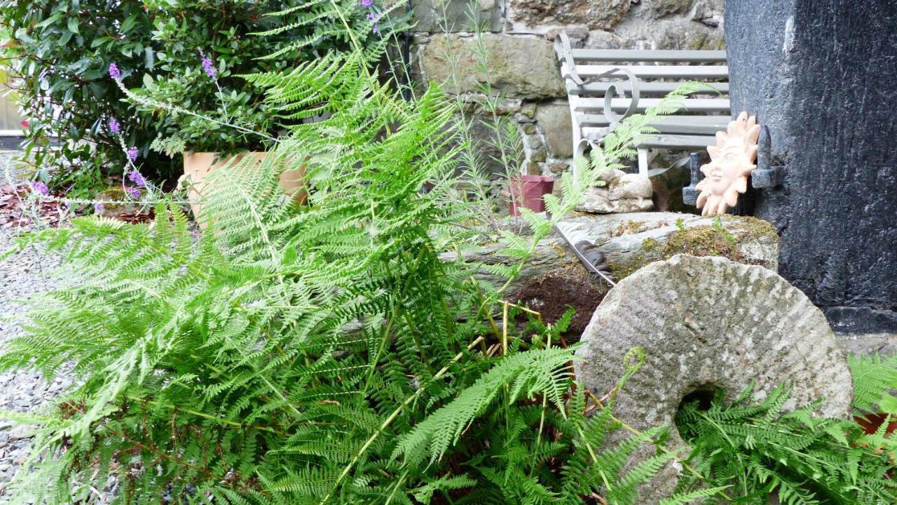 Dolifor Llanwrthwl Exterior foto