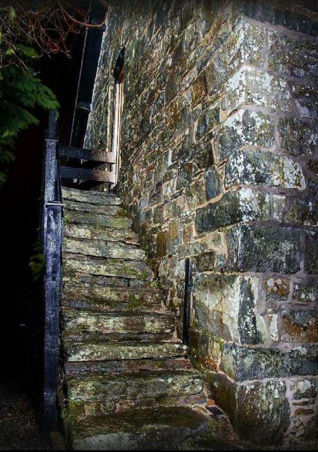 Dolifor Llanwrthwl Exterior foto