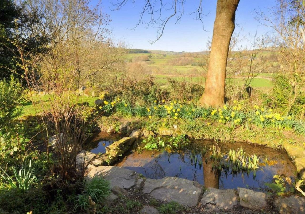 Dolifor Llanwrthwl Exterior foto